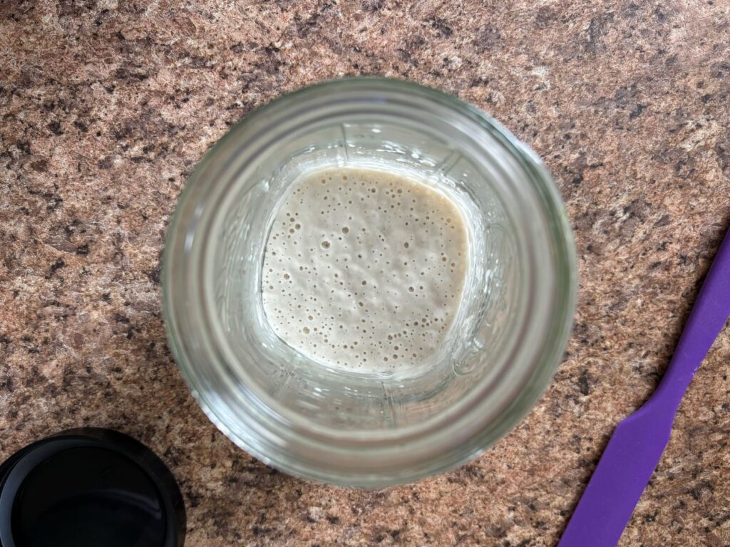 dried sourdough starter instructions