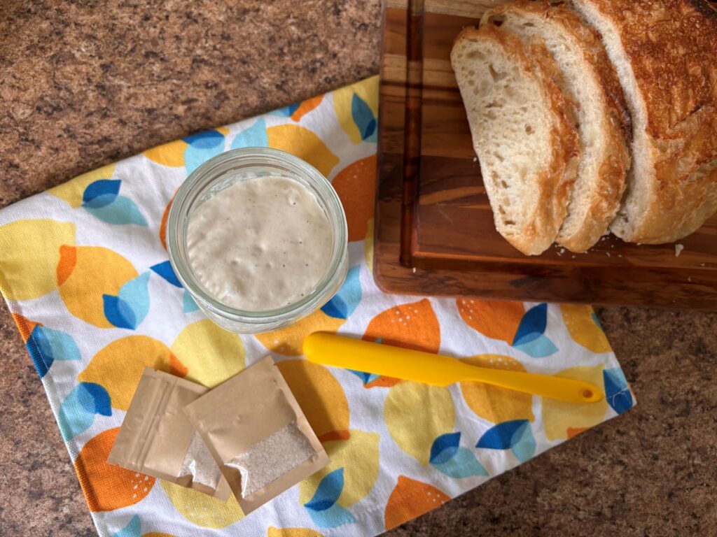 Dried Sourdough starter instructions