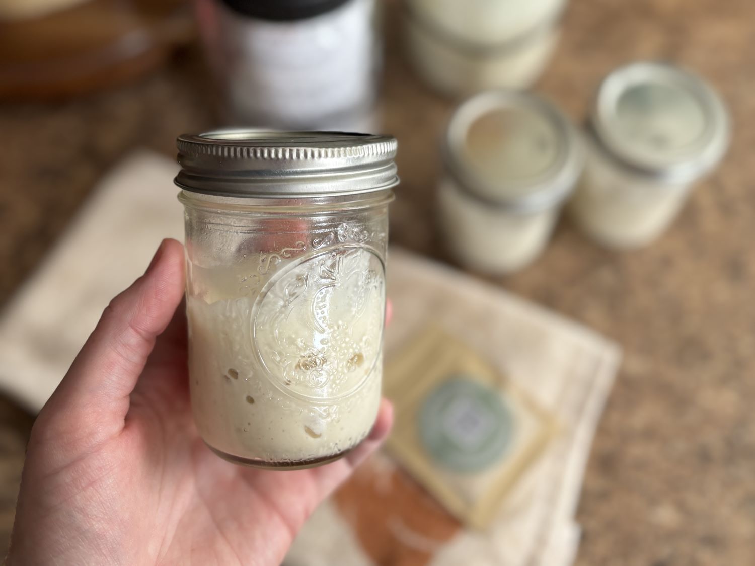 active sourdough starter instructions